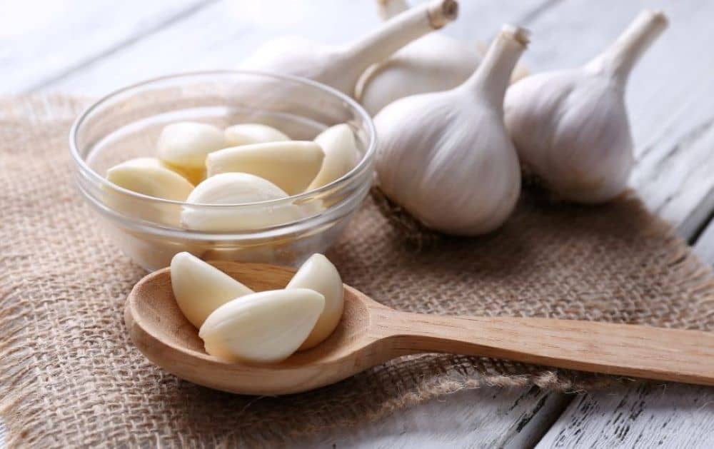 Garlic is highly nutritious but has very few calories. 