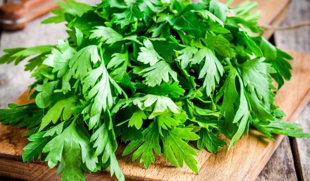 Parsley is rich in antioxidants and has cancer-fighting substances. 