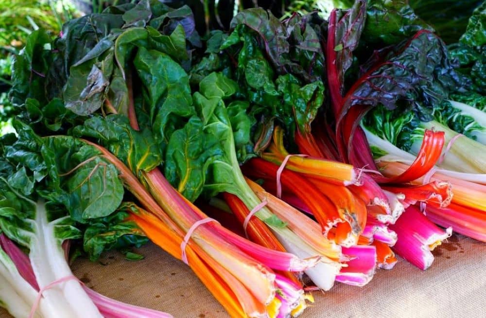 Swiss Chard is an excellent source of vitamins K, A, and C.